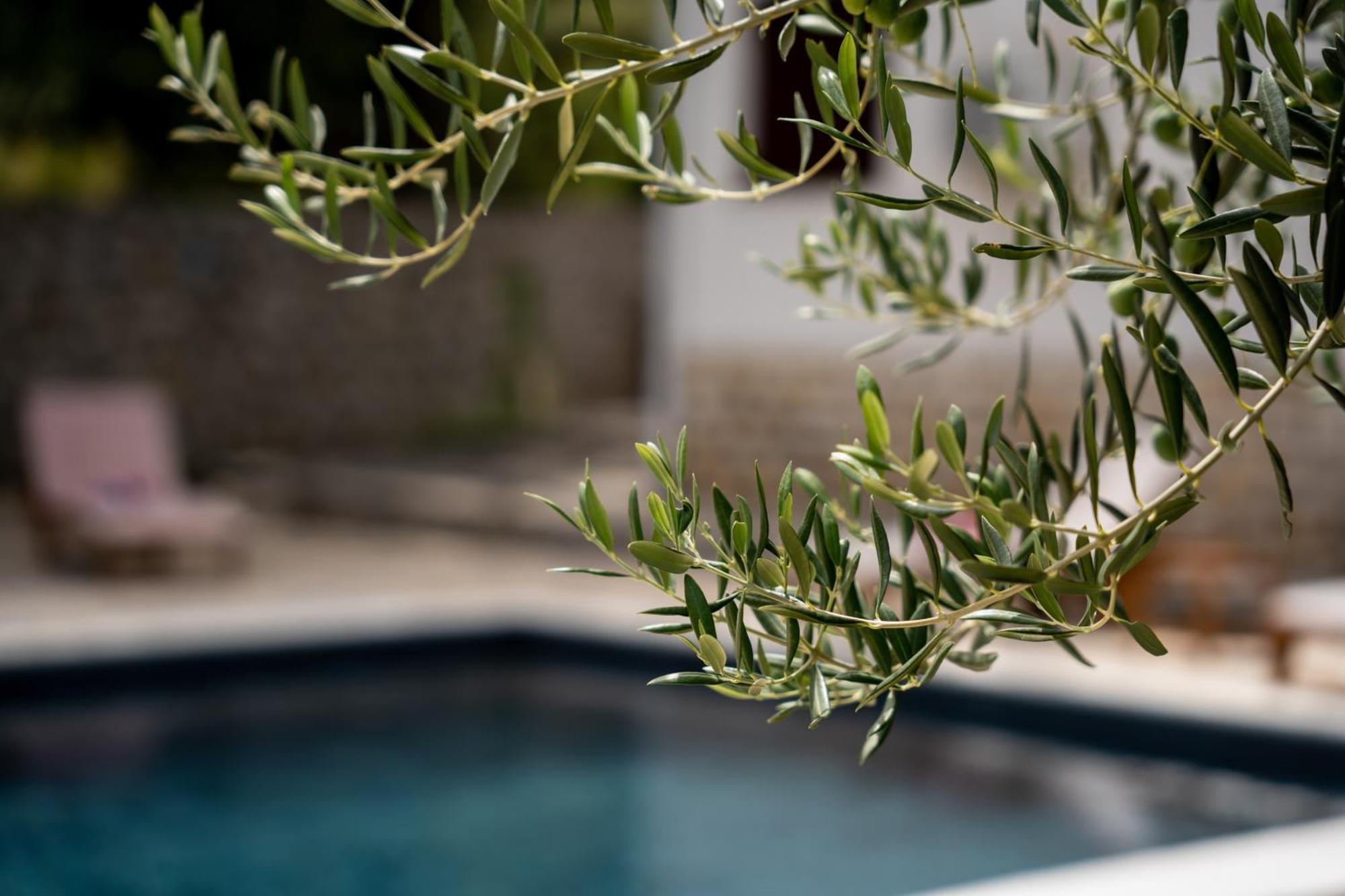 Villa Pag Dubrava Relax With Pool Bosana Екстериор снимка