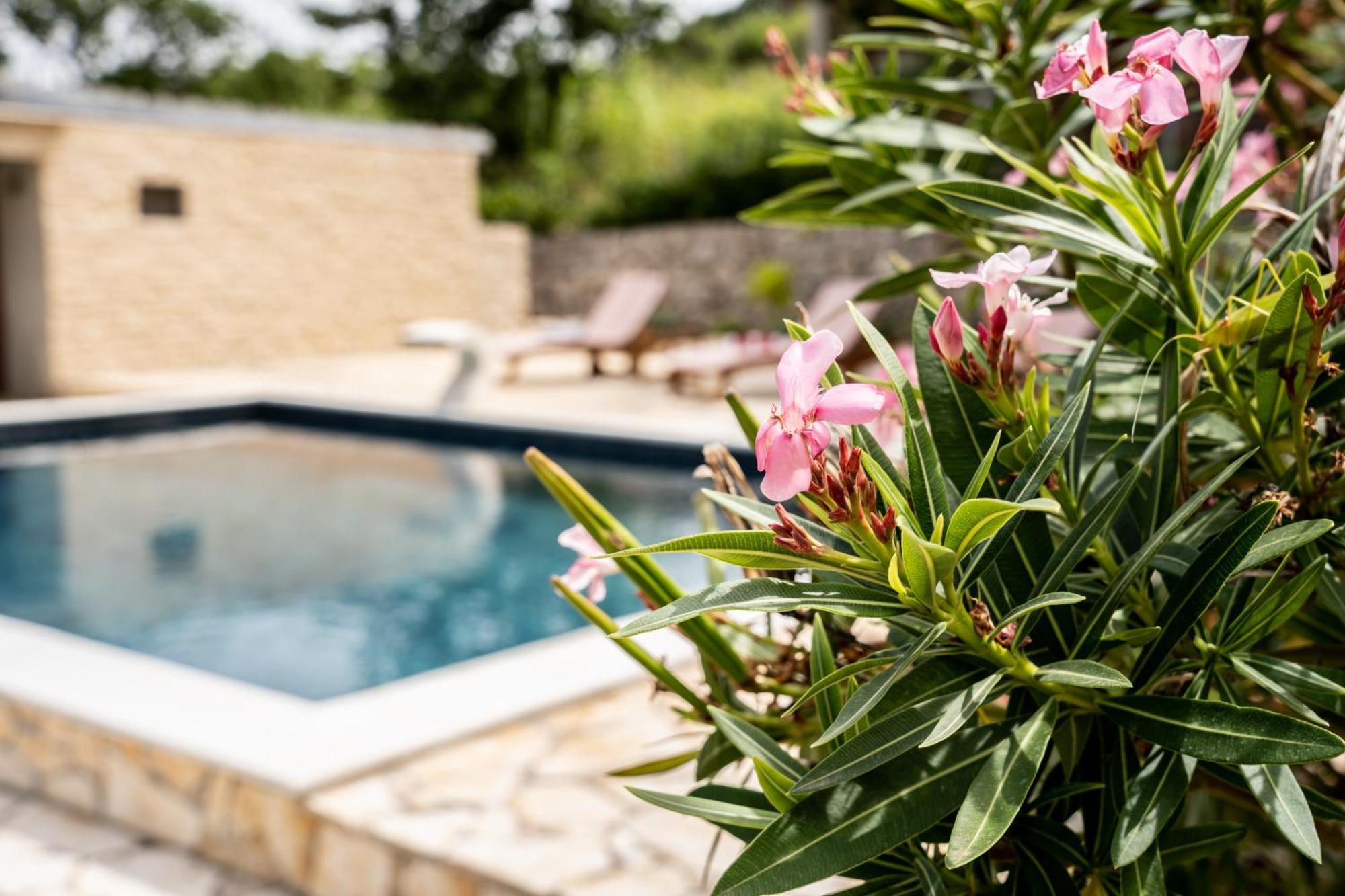 Villa Pag Dubrava Relax With Pool Bosana Екстериор снимка